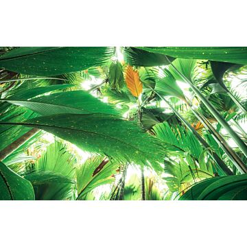 papier peint panoramique toit de la jungle II vert de Sanders & Sanders