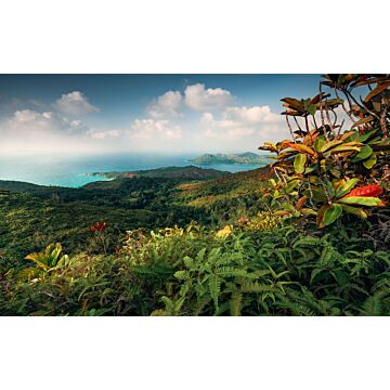 papier peint panoramique paysage tropical vert et bleu de Sanders & Sanders