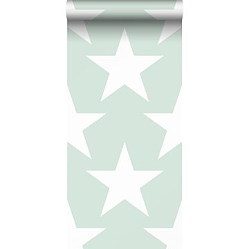 papier peint étoiles vert menthe de Sanders & Sanders