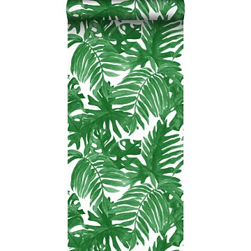 papier peint feuilles de palmier vert jungle tropicale de Sanders & Sanders